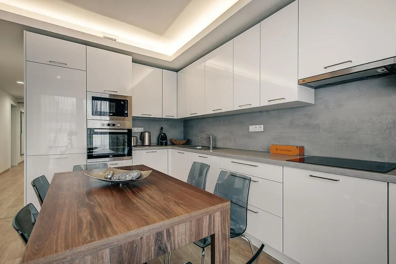 Exclusive Apartments In Luka Prag